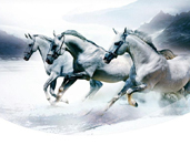 省内排行前十，，，设计、施工实力排前